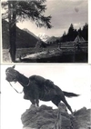 13 фотографий «Экспедиции в горы». СССР, 1950-е - 1960-е годы.