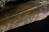 Чернильный письменный набор в виде парных подсвечников с орлиными лапами и чернильницы с головой орла. Австрия, конец XIX - нач. XX века.<br>