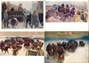 26 открыток «Революция и Гражданская война в живописи». СССР, 1930-е - 1960-е годы.