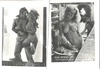 11 фотографий «Эротика». 1970-е годы.