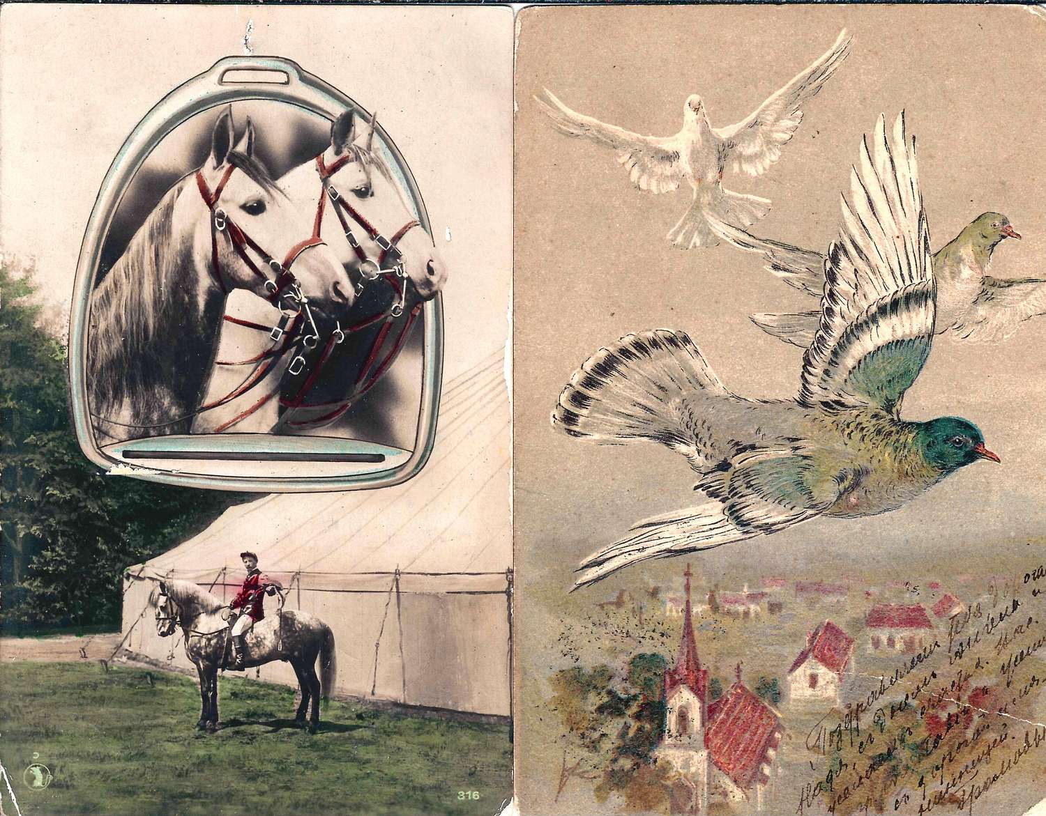 Более 150 открыток «Животные» в альбоме. Россия, СССР, Зап. Европа, Япония, Сев. Америка, 1900-е - 1970-е годы.