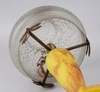 (Даум Нанси). Лампа в стиле ар-нуво с стеклянным  абажуром с изображением девушек с гирляндами цветов. <br>Франция, фирма Даум Нанси (Daum Nancy), первая треть ХХ века.