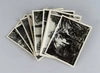 20 фотографий (комплект в издательской папке) «Фотовиды сочинского парка «Дендрарий». 1953.
