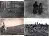 8 фотографий «Экспериментальное растениеводство в условиях вечной мерзлоты. Верхоянск и Игарка». 1940-е - 1950-е годы.