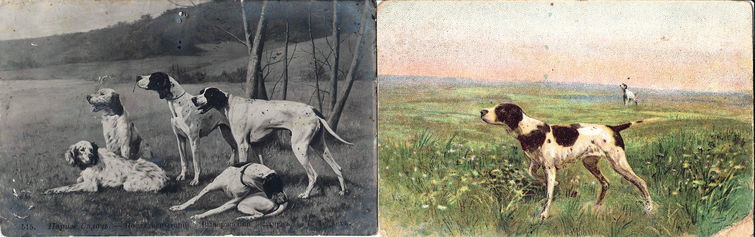 65 открыток «Собаки». Россия, СССР, Зап. Европа, XX век.