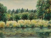 Цыбин Борис Александрович.<br>Два рисунка. Лесные пейзажи. 1972.