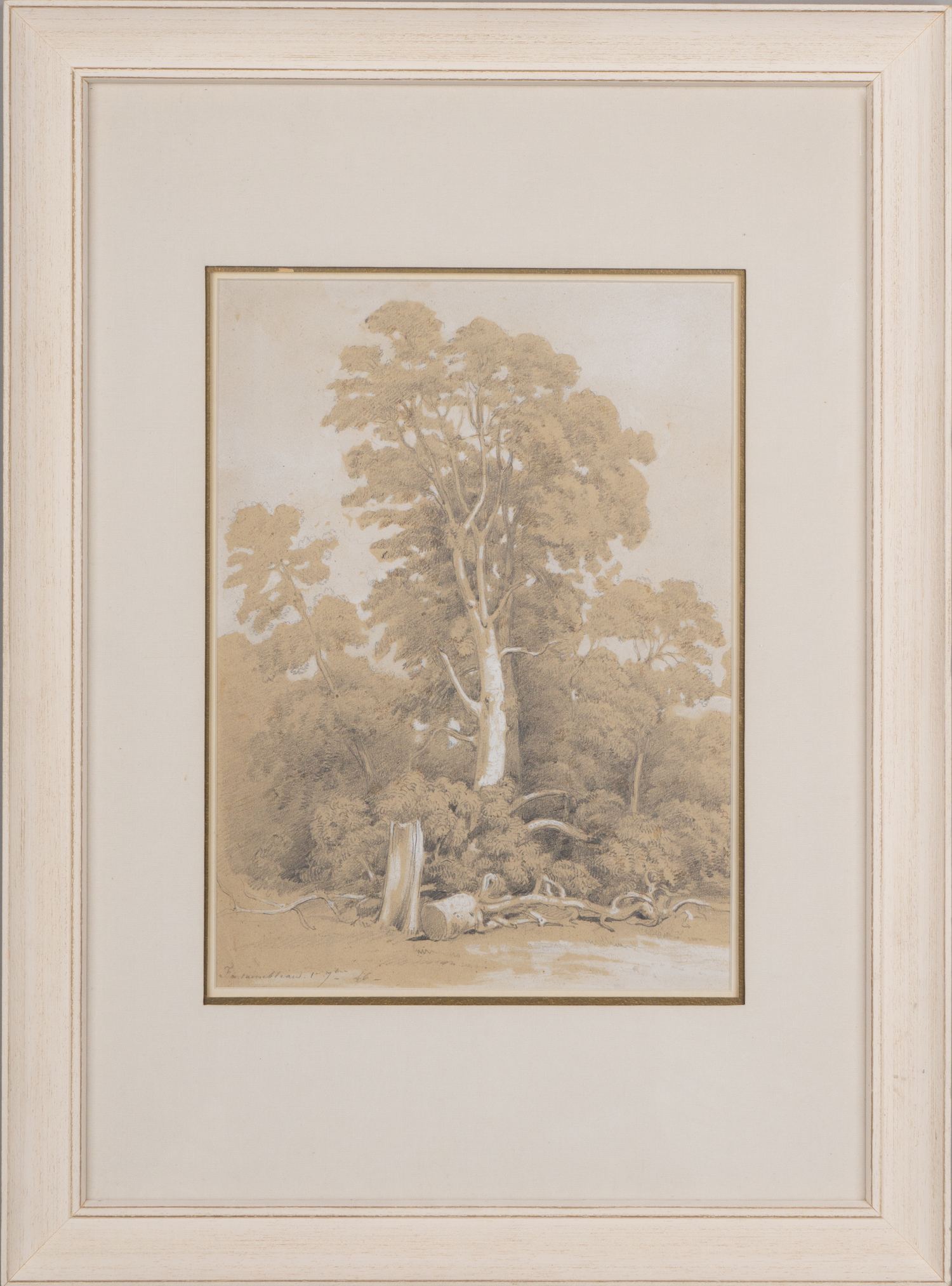 Неизвестный художник (инициалы «A.D.»). Лесной пейзаж.<br>Франция, конец XIX - начало XX века.