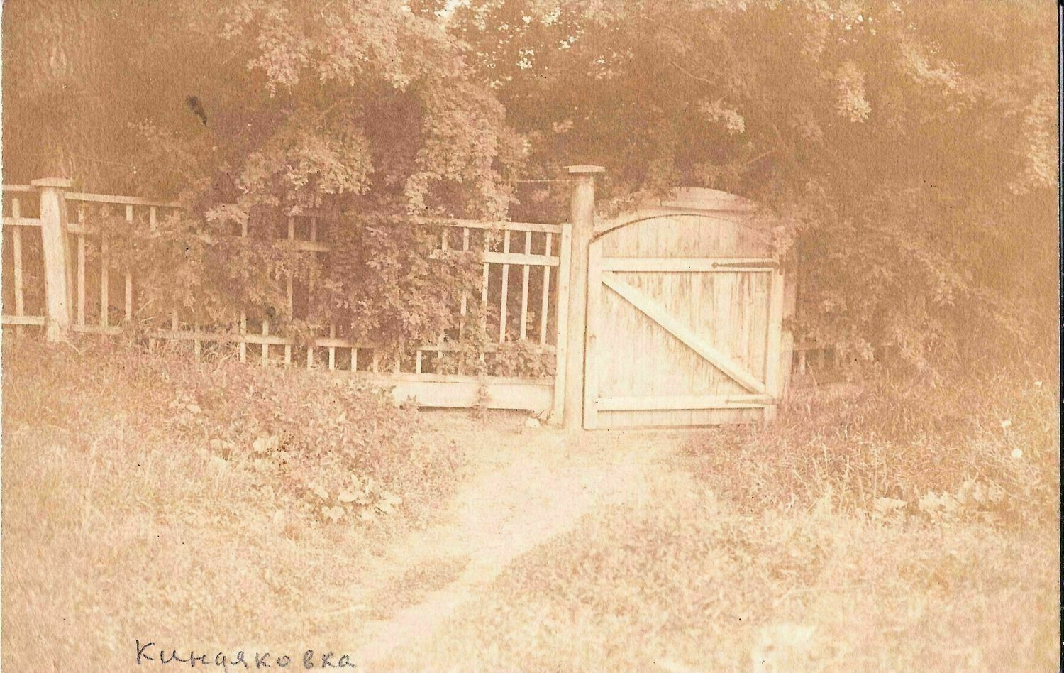 Виноградов З.З. Фотография «Киндяковка». 1913.