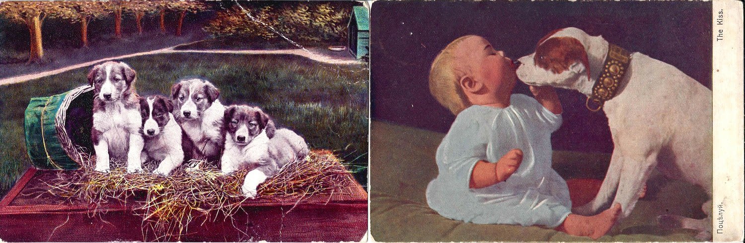 19 открыток «Собаки». Россия, Зап. Европа, нач. XX века.