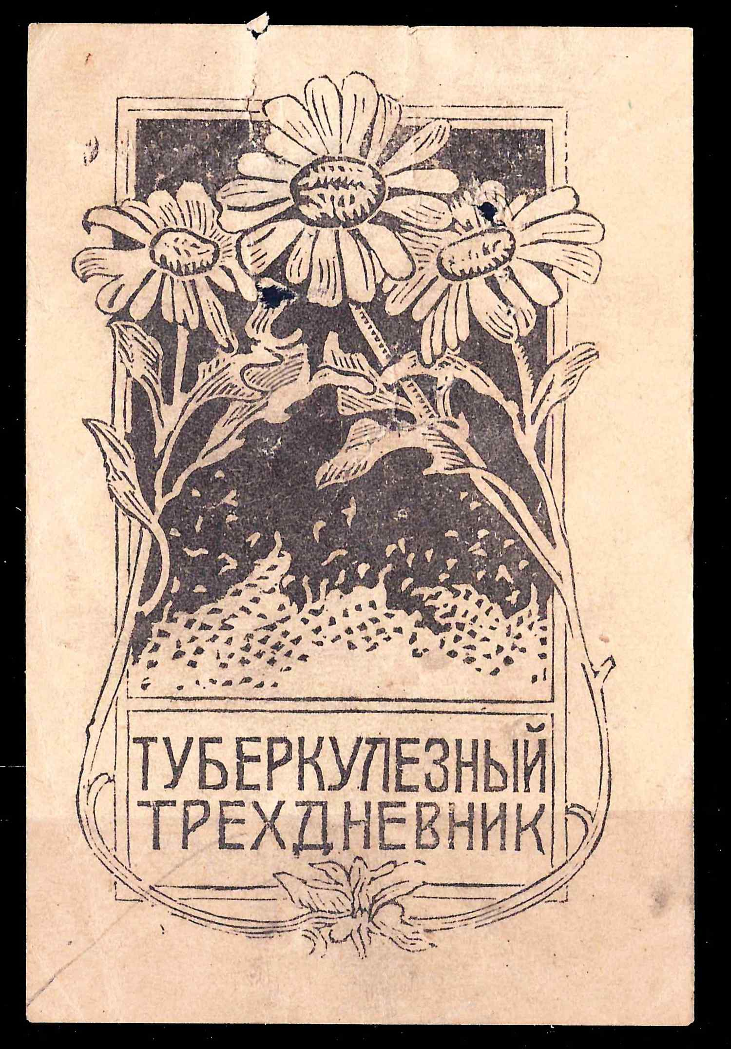 СССР. Непочтовая виньетка «Туберкулёзный трёхдневник». 1920-е годы.