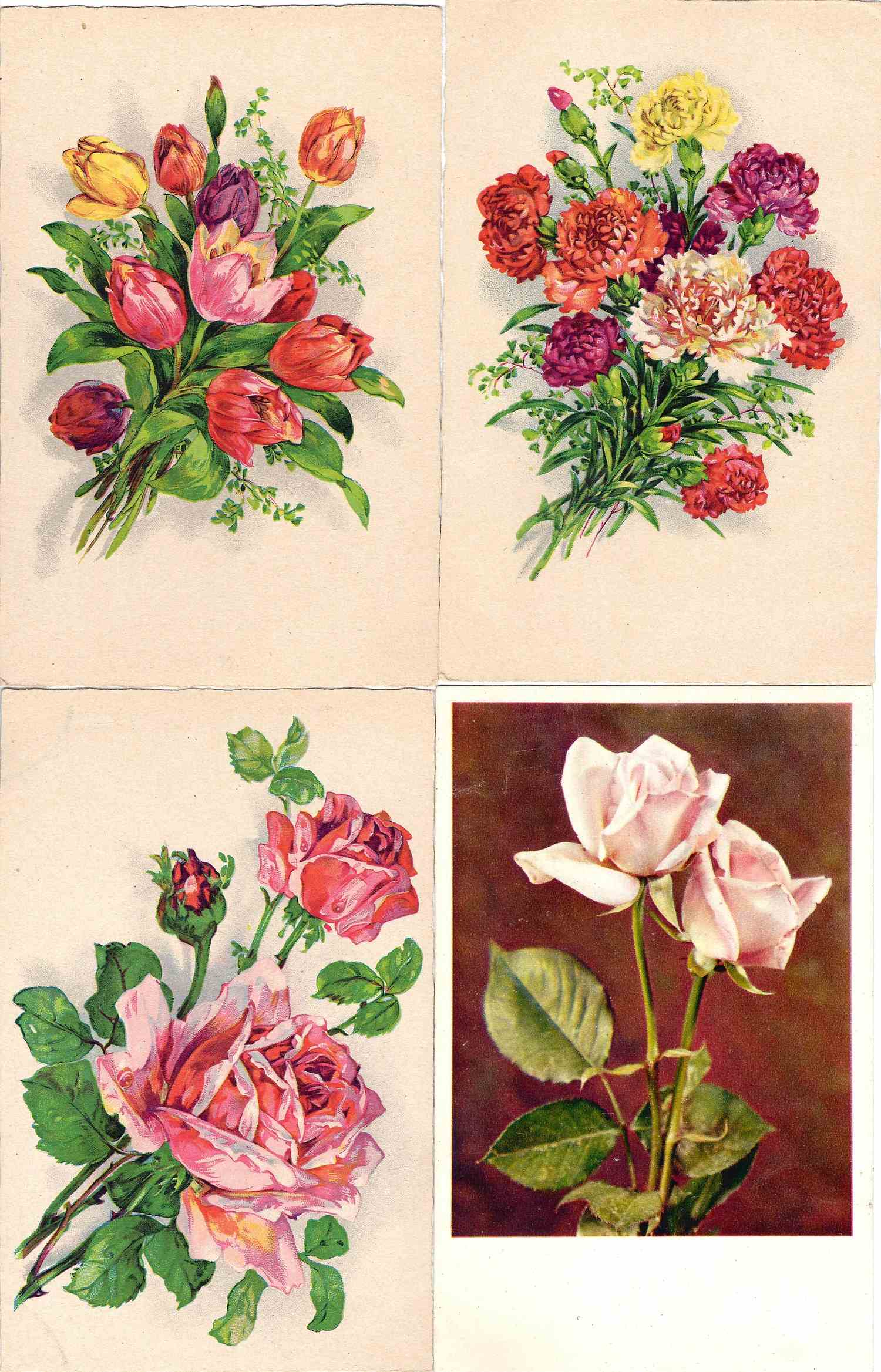43 открытки «Цветы». СССР, Европа, Азия, 1950-е - 1970-е годы.