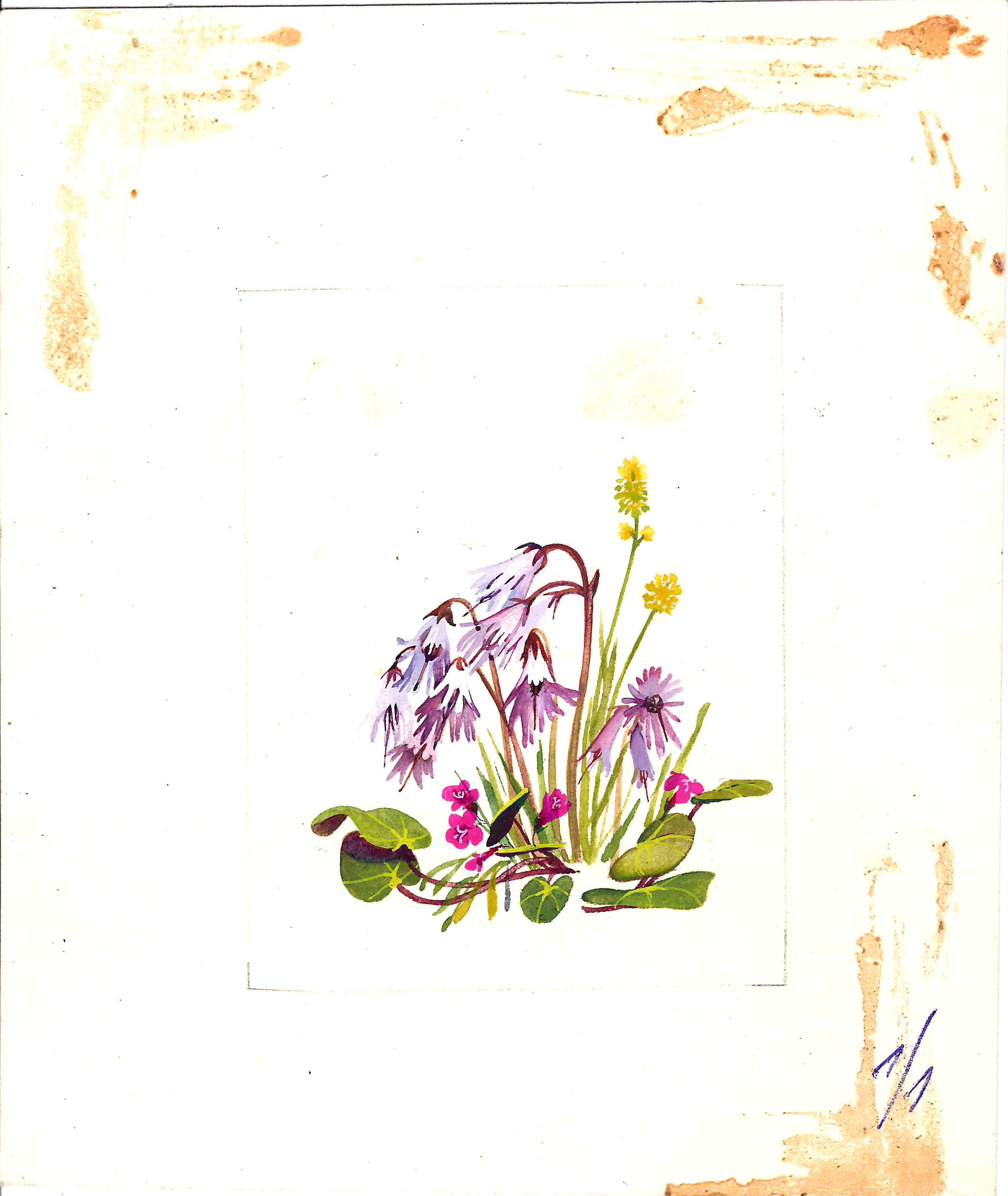 Мурахин А. Оригинальный макет открытки «Цветы». 1989.