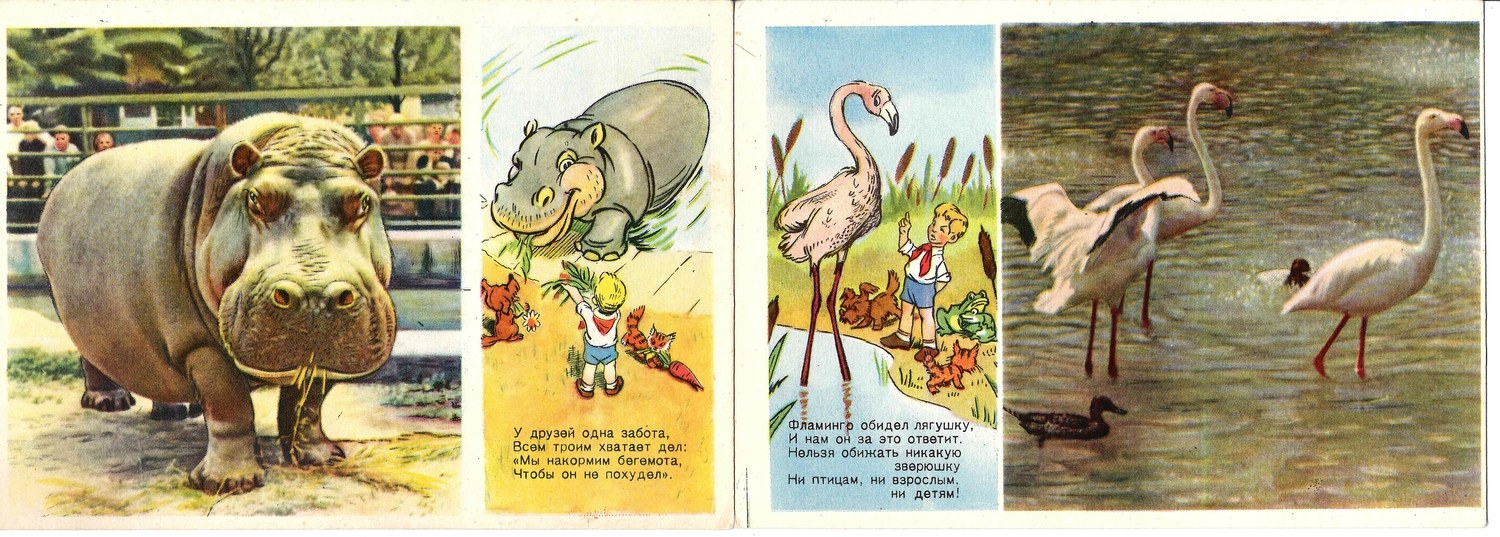55 открыток «Звери».  СССР, 1950-е - 1960-е годы.