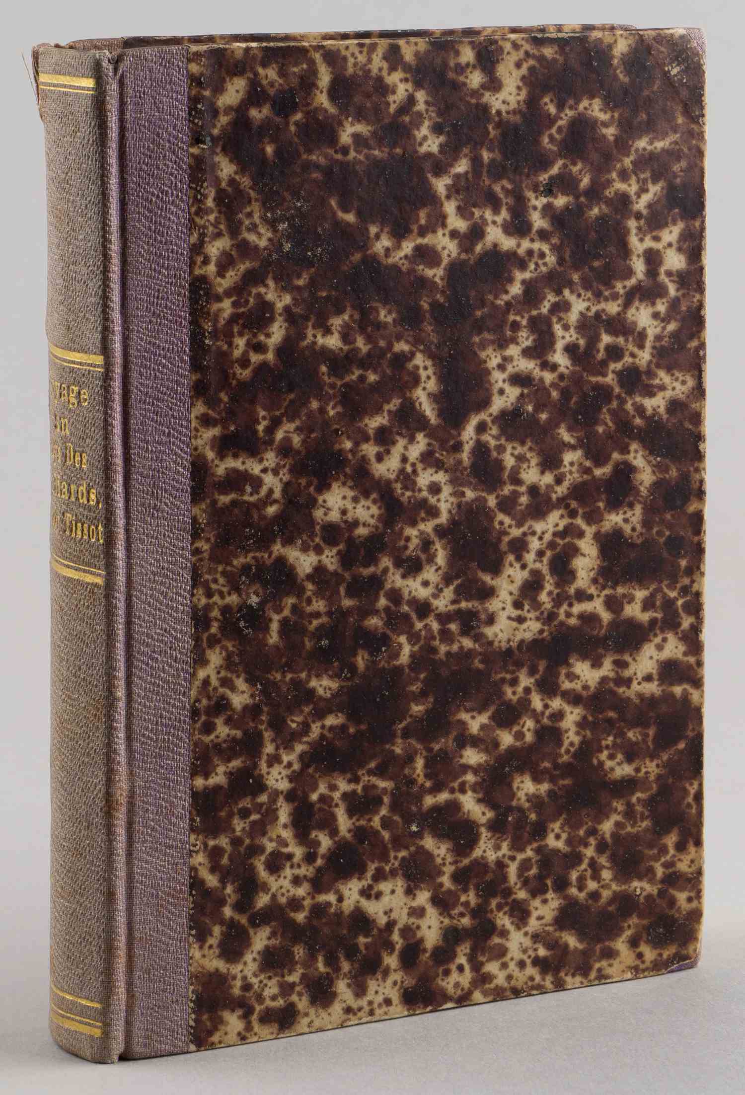 Тиссо В. Путешествие в страну миллиардеров (Voyage au pays des milliards) (Париж, 1877).
