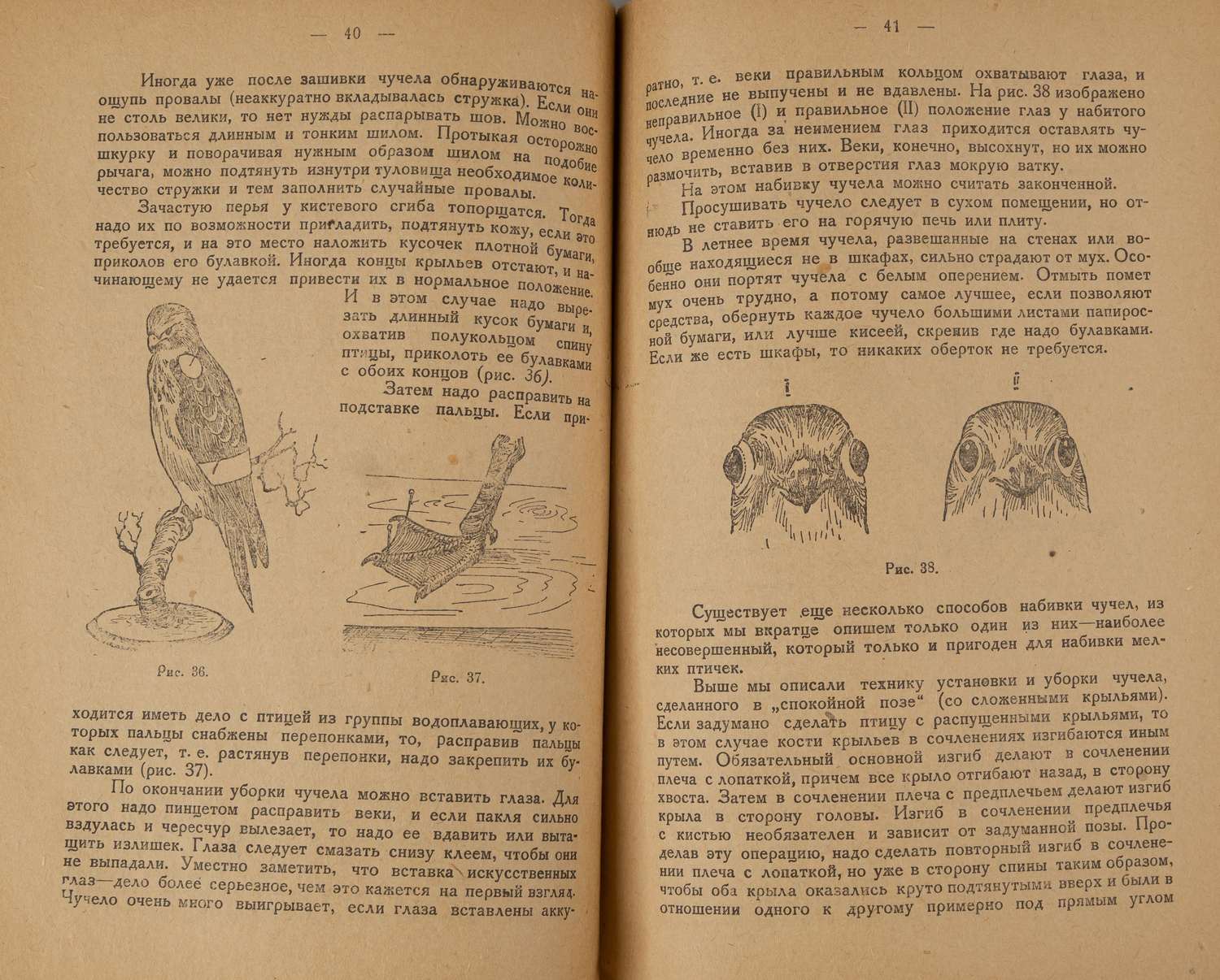 Залесский И. Набивка чучел птиц и зверей (М., 1931).