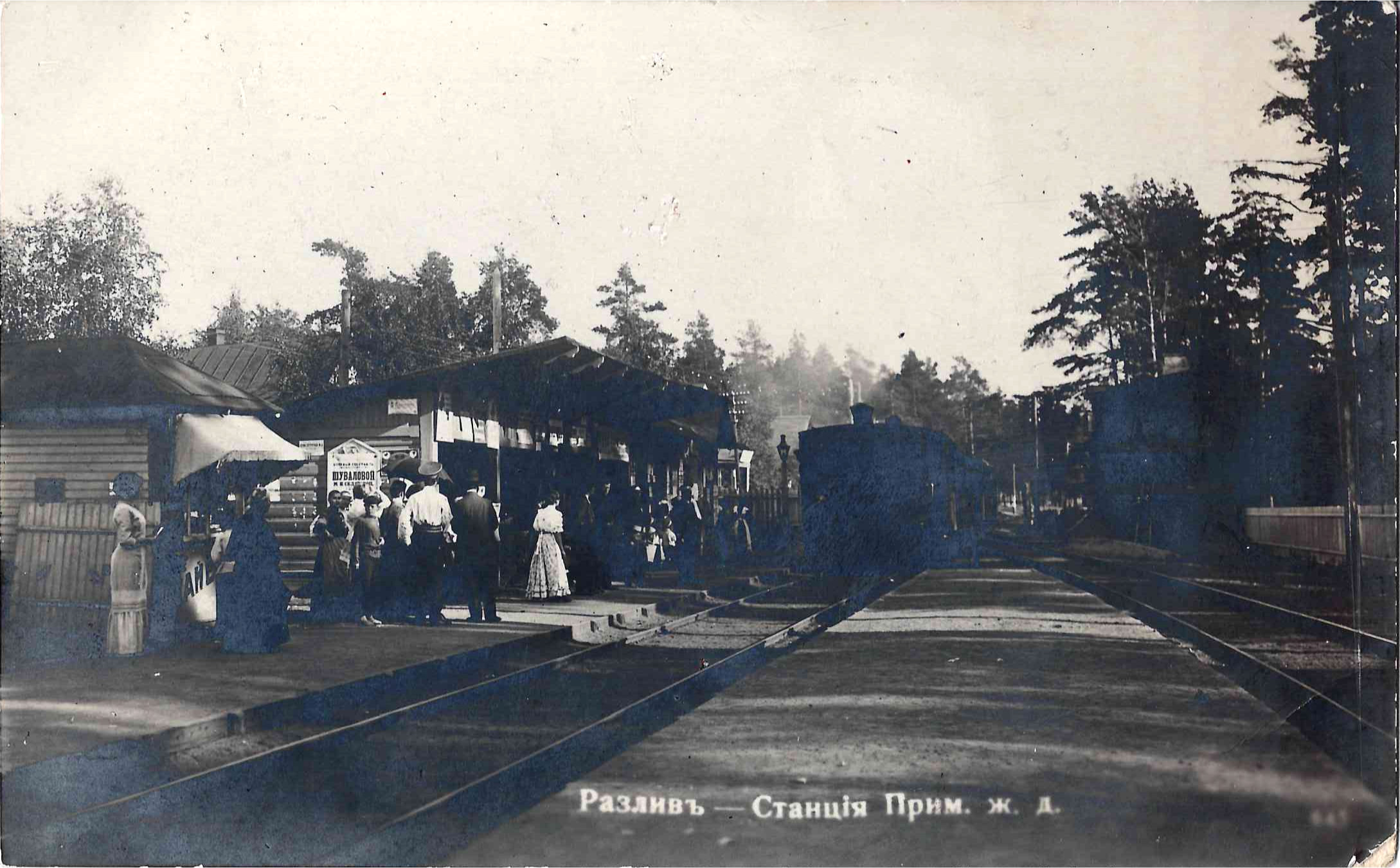 Разлив. Фотооткрытка «Станция Приморской железной дороги». Издание А.И. Центера, начало XX века.