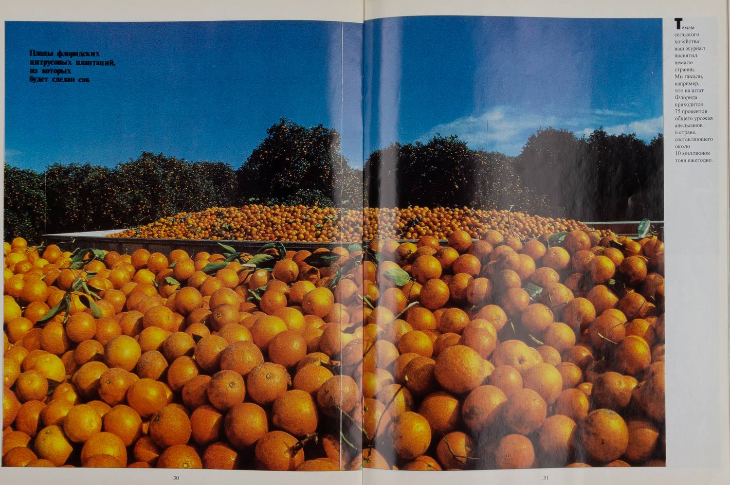 (Гудбай, Америка…) Америка. 1994. Сентябрь. Последний номер журнала.