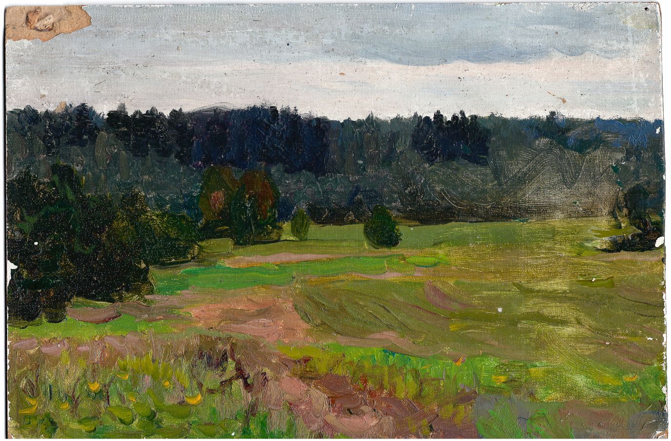 Кривошей Игорь Ефимович.<br>Лес (Калистово). 1960.