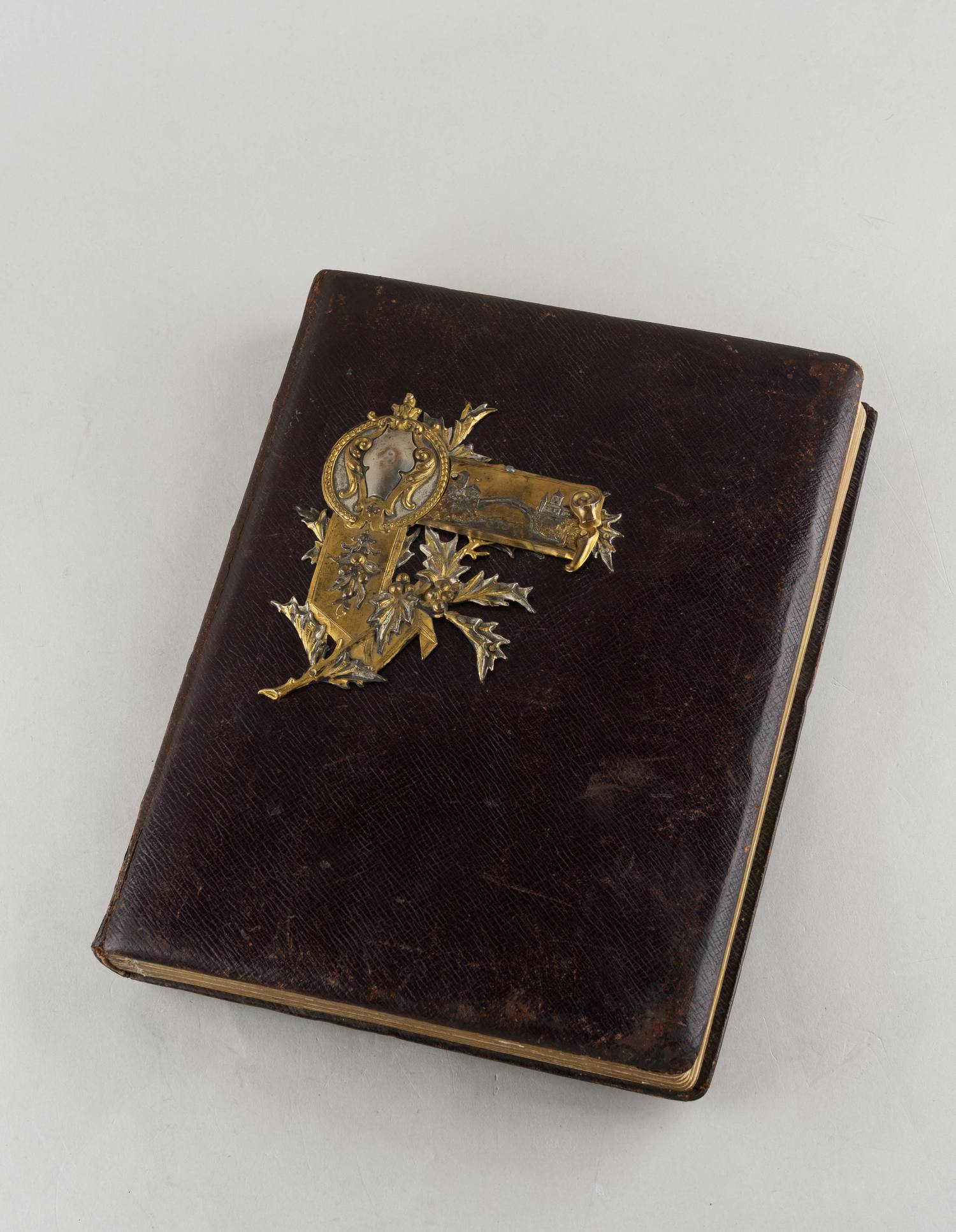 (Каразин) Альбом для фотографий с хромолитографиями Н.Н. Каразина.  Россия, Санкт-Петербург, конец XIX–начало XX века.