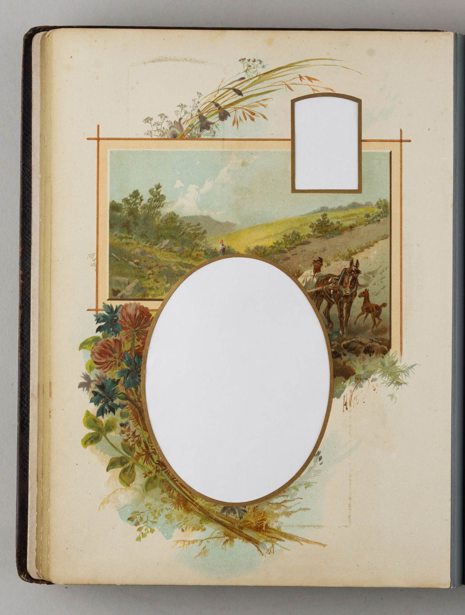 (Каразин) Альбом для фотографий с хромолитографиями Н.Н. Каразина.  Россия, Санкт-Петербург, конец XIX–начало XX века.