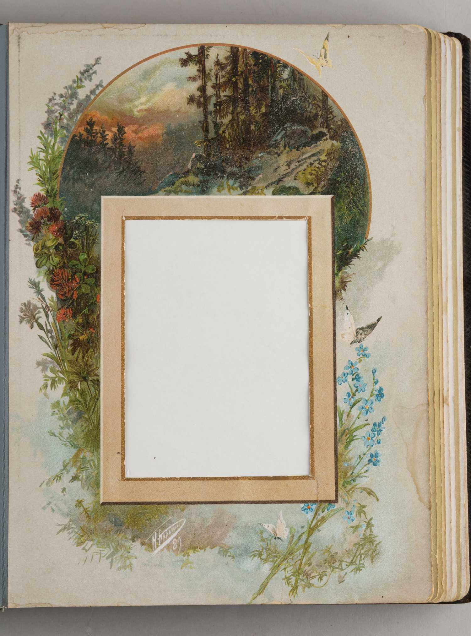 (Каразин) Альбом для фотографий с хромолитографиями Н.Н. Каразина.  Россия, Санкт-Петербург, конец XIX–начало XX века.