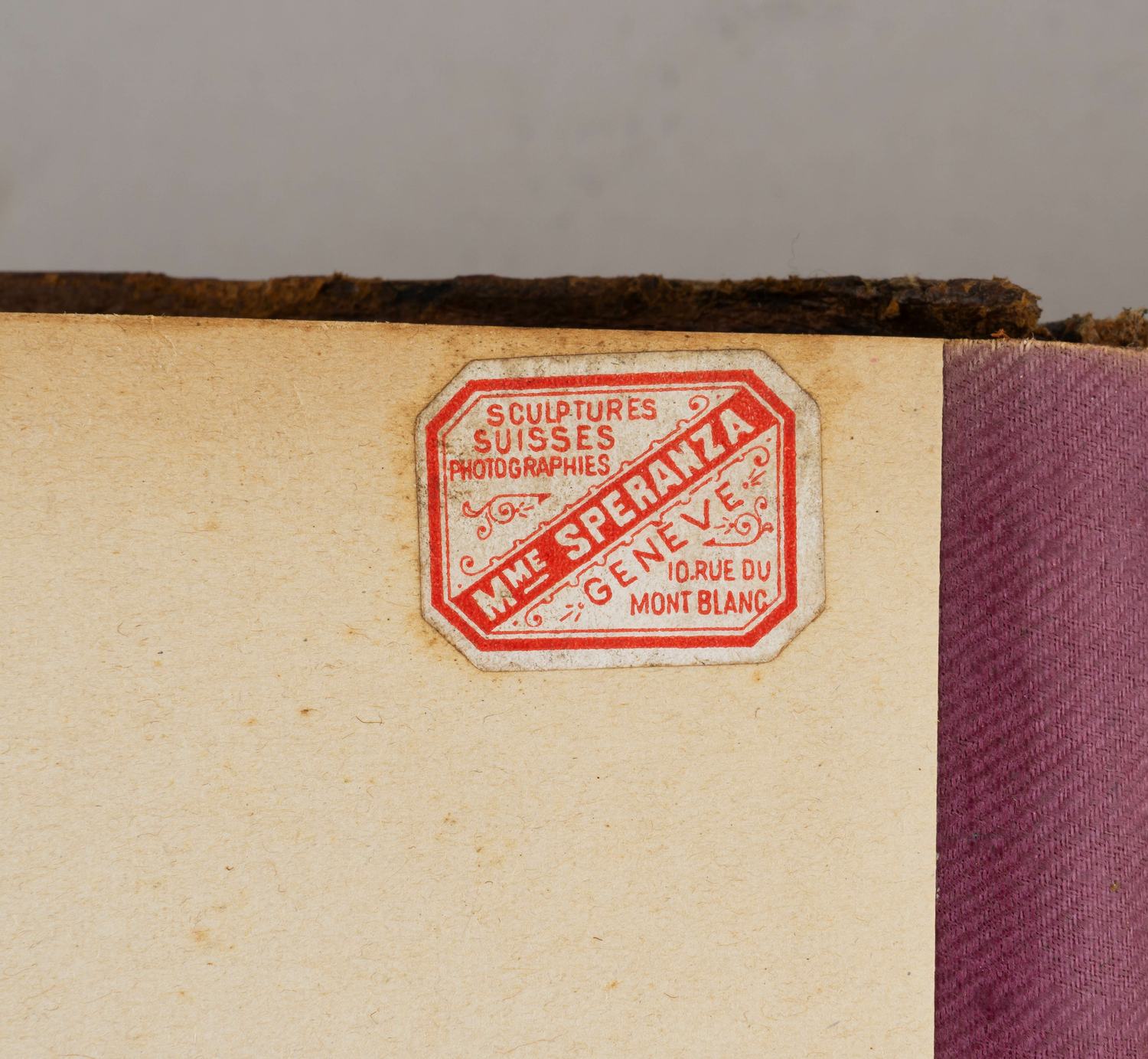 (Швейцарское качество) Массивный альбом для фотографий с картушем.  Швейцария, Женева, Сперанца, конец XIX века.
