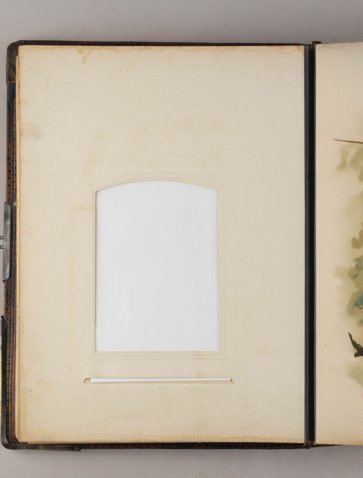 (Каразин) Альбом для фотографий с хромолитографиями Н.Н. Каразина. Россия, Санкт-Петербург, конец XIX–начало XX века.