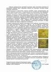 (С экспертизой. Соколов) Письменный прибор в русском стиле.
Россия, Москва, проект архитектора А. С. Каминского предположительно, бронзовая фабрика поставщика двора А. Е. Соколова, около 1890 г.