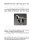 (Экспертиза) Ваза (46см) в технике клуазоне «Танские кони».
Китай, 1920–1930-е годы.