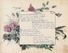 Рукописный иллюстрированный альбом стихов Евгения Госсе. 1914 - 1917 годы.